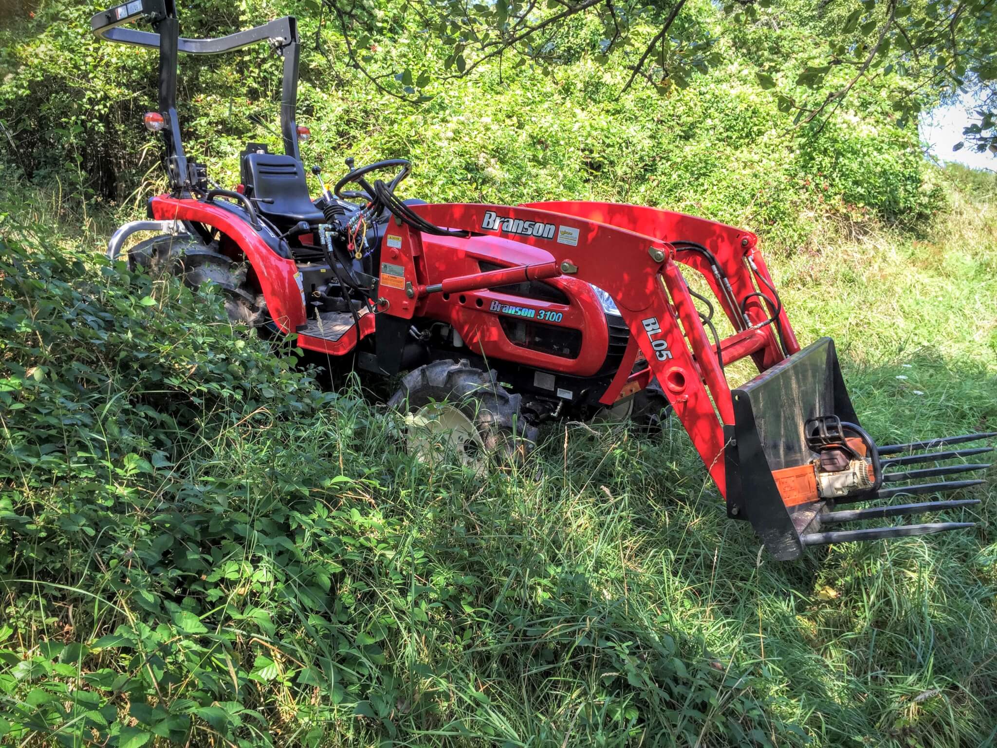 Branson 3100
